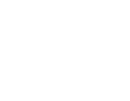 Firm Tech INC